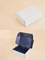 Haute qualité écologique imprimé logo carton ondulé Kraft blanc papier avion boîte courrier boîte d'expédition pour cadeau