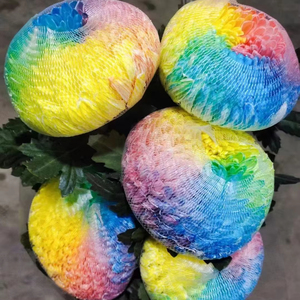 Khả năng phục hồi cao nhựa <span class=keywords><strong>PE</strong></span> <span class=keywords><strong>Rose</strong></span> <span class=keywords><strong>Flower</strong></span> Bud Net Lưới Net Bìa - Product Image 2