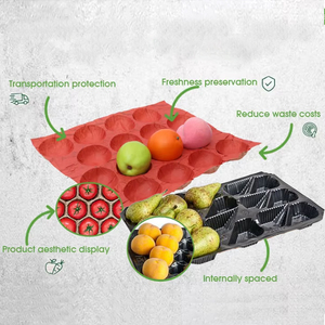 Kích thước tùy chỉnh trái cây tươi và rau quả đóng gói chèn phế nang PP khay nhựa lót - Product Image 2