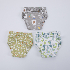 Pantalones de Entrenamiento de Algodón Lavables y Reutilizables de Primera Calidad, Ropa Interior para Bebés, Pantalones de Entrenamiento Absorbentes para Ir al Baño - Product Image 5
