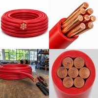 Kabel Tembaga Murni 600/1000V BV BVR BVV Berisolasi PVC 25mm2 35mm2 untuk Konstruksi Bangunan, Kabel Utama