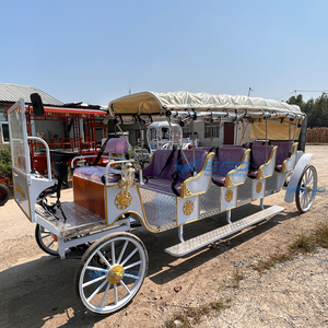 Carroza Turística de 11 Plazas y Cuatro Filas, Suministro de Fábrica, Múltiples Estilos Disponibles, Eléctrica o Tirada por Caballos, Personalizable - Product Image 2