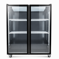 Vitrine réfrigérée verticale à 2 portes vitrées, noire, pour boissons, avec éclairage LED, idéale pour discothèques et KTV