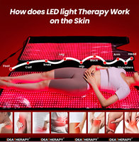 Ideatherapy TLB2000-K, certifié UL, imperméable, thérapie par lumière rouge pour tout le corps, tapis de thérapie par lumière rouge, sac de couchage à lumière rouge