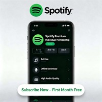 Abonnement Spotify Premium d'un an, compte familial, activation rapide, un cinquième, compte personnel