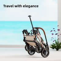 Poussette pour animaux de compagnie Lanka avec roues, panier amovible pour chats et chiens, légère, pliable, en acier carbone, pour petits/moyens animaux