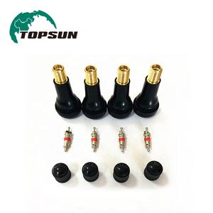 Vente en gros de pièces automobiles, <span class=keywords><strong>valve</strong></span> de pneu sans chambre à air tr412 tr413 tr314 tr415 tr413 - Product Image 6