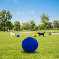 Balle de dressage anti-éclatement pour chien et cheval, idéale pour l'extérieur, le parc, l'entraînement, l'exercice et le jeu, tailles 45cm, 55cm, 65cm