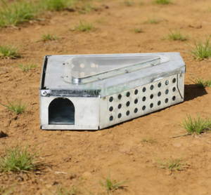 Trampa para Ratones de Metal con Ventana Transparente en Forma de Triángulo - Product Image 5