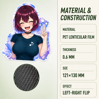 Pegatinas Lenticulares 3D para Coche, Portátil, Refrigerador, Formas y Tamaños Personalizados, Impermeables, Impresas con UV, Pegatinas de Dibujos Animados
