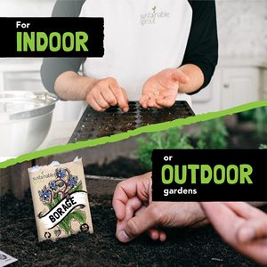 Venta caliente SPROUT SOSTENIBLE Flor comestible para plantar - Product Image 6