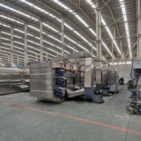 Machine de séchage continu pour farine de patate douce, déshydrateur de légumes et fruits, séchoir pour racines et herbes, sécheuse de légumes