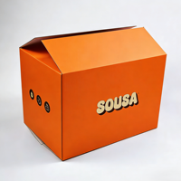 Caja de Cartón Reutilizable Grande y Resistente, Ecológica, para Embalaje de Transporte, con Logotipo Personalizado e Impresión a Color