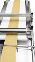 Machine extrudeuse automatique de nouilles en acier inoxydable de qualité alimentaire industrielle, moteur pour ligne de production de nouilles fraîches, 250 kg/h
