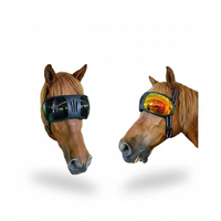Hot Sale Luxury Eco-Friendly Solid PC 2026 Fashion Horse Racing Sports Riding Goggles UV Windproof Accessories Horse