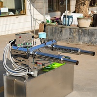 Máquina de Nebulización Térmica Montada en Vehículo para el Control de Plagas Agrícolas y Pulverización de Grandes Áreas