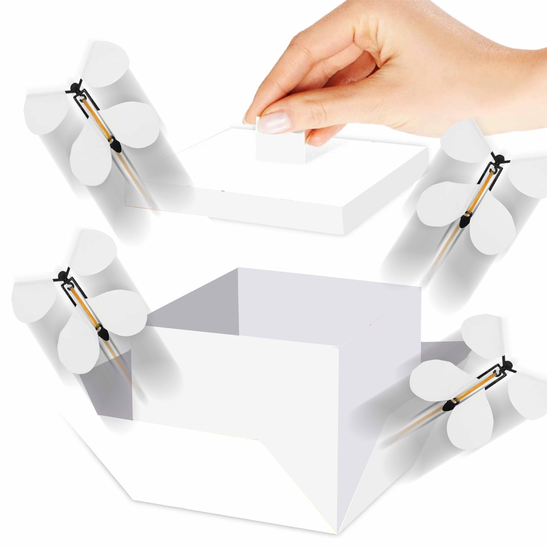 Scatola farfalla bianca volante edizione platino (15*14