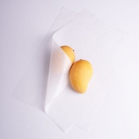 Papier Glassine Écologique Personnalisable, Résistant à l'Humidité pour l'Emballage Alimentaire