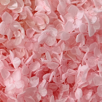 Usine En Gros Hortensia Bleu Velours Boîte Blanc Rouge Séché Hortensia Pétales Fleurs pour Mariage Décor À La Maison