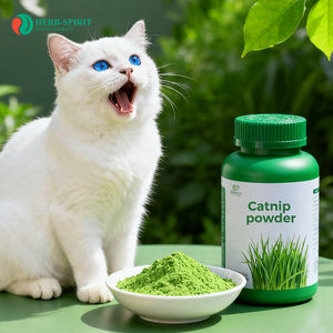 Ücretsiz örnek <span class=keywords><strong>Catnip</strong></span> nepetatone tone özü tozu <span class=keywords><strong>Catnip</strong></span> yapraklar yüksek kalite <span class=keywords><strong>Catnip</strong></span> tozu toptan kediler kedi çim dinlenmek - Product Image 3