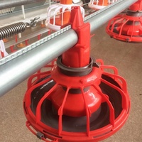 Nouveau design 2026 : Système de sol pour poulets de chair, Cage de batterie pour poules pondeuses, Abreuvoir à tétine pour poulets de chair