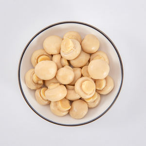 Source de protéines végétaliennes à faible teneur en sodium Champignons tendres dans des légumes en conserve prêts à l'emploi - Product Image 5