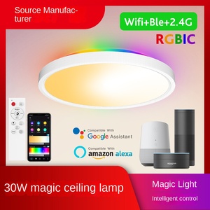Binnen Oppervlak Gemonteerd Led Smart Plafondlamp 24W Rgb Compatibel Met Tuya App <span class=keywords><strong>Flush</strong></span> <span class=keywords><strong>Mount</strong></span> Plafond Armatuur