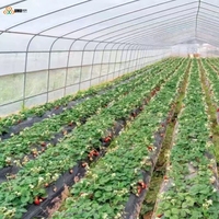 Film de serre à lumière diffusée, haute transmission lumineuse, résistant aux UV, anti-goutte, pour tomates, concombres et légumes