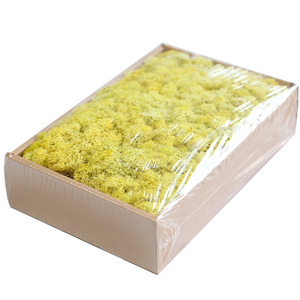 QSLHFH-1049 Haute Qualité Fraîche Conservée Mousse Végétal Stabilisé Pour La Décoration D'intérieur - Product Image 2