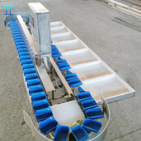 Sorteermachines En Sorteermachines Voor Groenten En Fruit, Producten Voor De Grootte, Sorteermachine Voor Fruit En Sortering