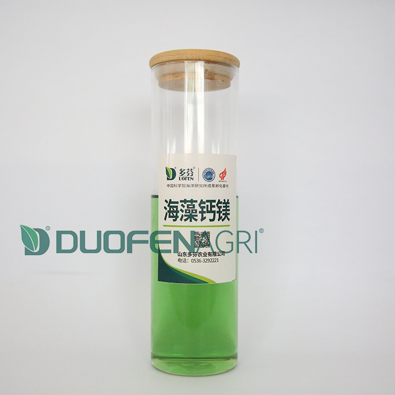 Wholesale Seaweed Calcium Magnesium Liquid Fertilizer