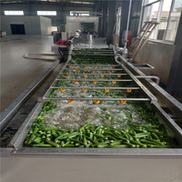 XIYUAN Automatische Luchtbel Fruit- en Groentewasmachine met Nauwkeurige Temperatuurregeling voor Restaurantgebruik, Maïsverwerking, Nieuw