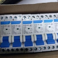Disjoncteur miniature CHINT MCB NXB-40 1P+n 10A-63A 230V 50Hz Protection Li 4.5kA Capacité de coupure Matériel plastique Chine