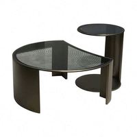 Table basse de salon moderne en acier inoxydable avec plateau en verre trempé, mobile et basse