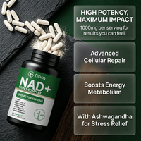 Capsules de Coenzyme NAD Personnalisées en Gros sous Marque Privée – Composés Naturels de NAD pour un Nutriment Cellulaire Quotidien Équilibré