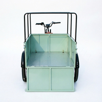 Vélo cargo adulte à pneus larges, Vélo de livraison, Tricycle, Chariot Tuk Tuk, Remorque, Fourgonnette, Camionnette alimentaire électrique