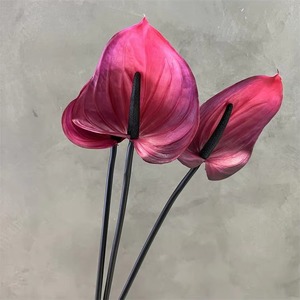 ดอกหน้าวัวสีขาว <span class=keywords><strong>andraeanum</strong></span> พืชดอกไม้สัมผัสจริงดอกไม้ประดิษฐ์กลางสำหรับตกแต่งตารางงานแต่งงาน - Product Image 4