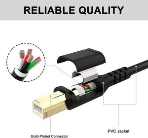 Câble d'imprimante USB 2.0 plaqué or LUNG KAY 10 pieds (3 m) livraison rapide, câble <span class=keywords><strong>de</strong></span> données haute vitesse pour <span class=keywords><strong>scanner</strong></span> et lecteur <span class=keywords><strong>de</strong></span> codes-barres - Product Image 4