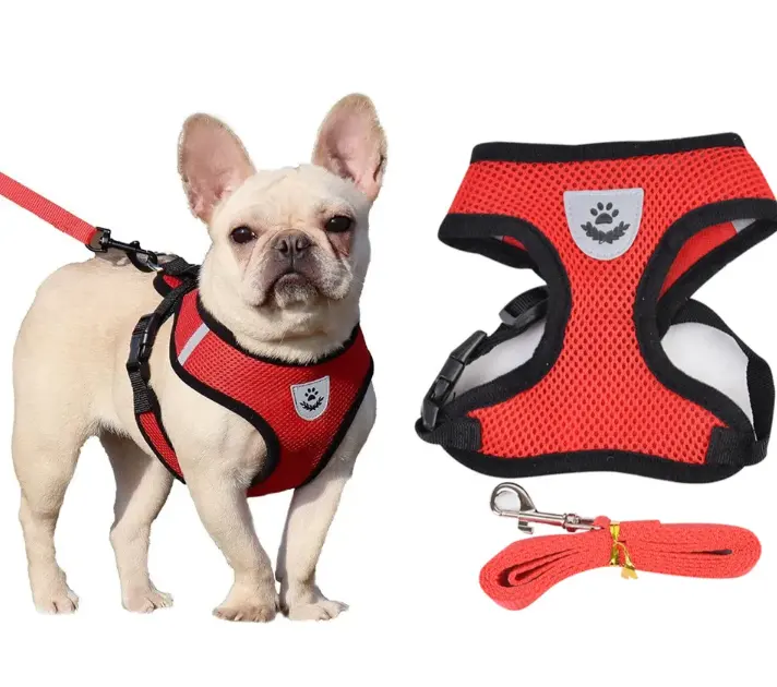 Respirável Ajustável Pastel Strap Dog Chest Harness Vest Leash Set outros colares coleiras e arreios