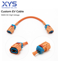 Harness Kabel HV EV 2-Core 1000V DC yang Dapat Disesuaikan dengan Perakitan Kabel HVIL Berperingkat IP67 untuk Kendaraan Energi Baru