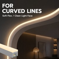 Tira de Luz LED de Silicona para Exteriores, Flexible, Curva en S y con Esquinas, 10x10mm, Emisión Frontal, Epistar, para Delimitación de Edificios, con Control Remoto