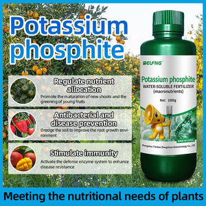 Phosphite de <span class=keywords><strong>potassium</strong></span>, <span class=keywords><strong>engrais</strong></span> hydrosoluble <span class=keywords><strong>riche</strong></span> <span class=keywords><strong>en</strong></span> <span class=keywords><strong>phosphore</strong></span> <span class=keywords><strong>et</strong></span> <span class=keywords><strong>en</strong></span> <span class=keywords><strong>potassium</strong></span>, macronutriments essentiels - Product Image 3