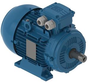 Weg W21 7.5HP 5.5KW 960 vòng/phút hiệu suất cao điện áp thấp ba pha AC động cơ không đồng bộ - Product Image 4