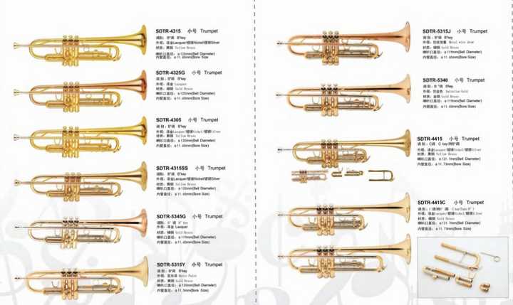 Kit Nettoyage Trompette Alnicov - 3 Brosses (Embouchure, Valve, Flexible) - Entretien Instrument