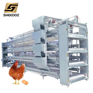 Cages pour poules pondeuses, équipement d'élevage avicole, cages automatiques de type H pour poules pondeuses, élevage en batterie, coop automatique - Product Image 6