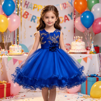 Robe en tulle bleu royal brodée or pour tout-petits, tenue de fête d'anniversaire pour bébé fille, robe de princesse pour enfant, robe de demoiselle d'honneur pour mariage