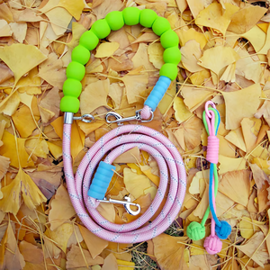 Cuerda de poliéster colorida hecha en fábrica Henshine, mango suave, tamaño personalizado, correa para perro para caminar en el exterior - Product Image 2