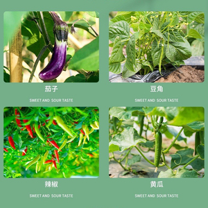 Clip de fixation en plastique pour plantes de serre agricoles, petite taille, boucle douce qui n'endommage pas le tige pour <span class=keywords><strong>tomates</strong></span> et poivrons suspendus - Product Image 4