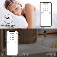 Ampoule intelligente Wifi Tuya sans fil RGB multicolore à intensité variable avec télécommande
