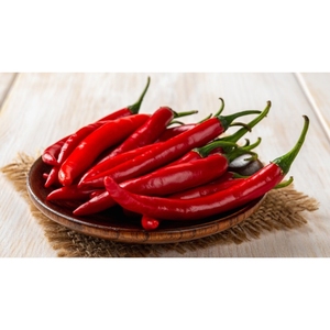 พริกสดรสเผ็ดแดงจากเวียดนามส่งตรงจากผู้ผลิตสมุนไพรแห้งแบบดิบเครื่องเทศและสมุนไพรแบบเดี่ยว - Product Image 4